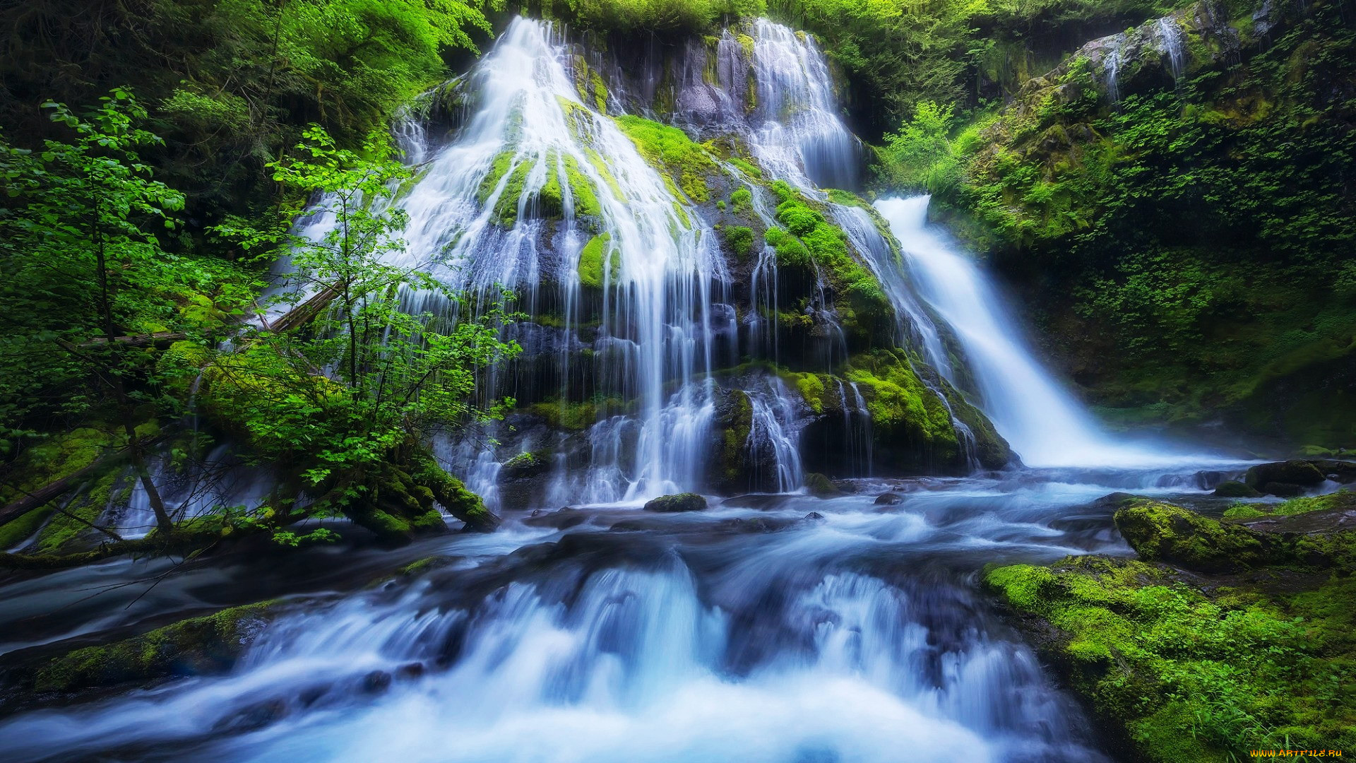 panther creek falls, columbia river gorge, washington, , , panther, creek, falls, columbia, river, gorge